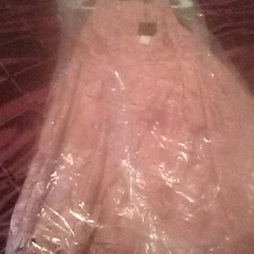 A lace and silk dress
